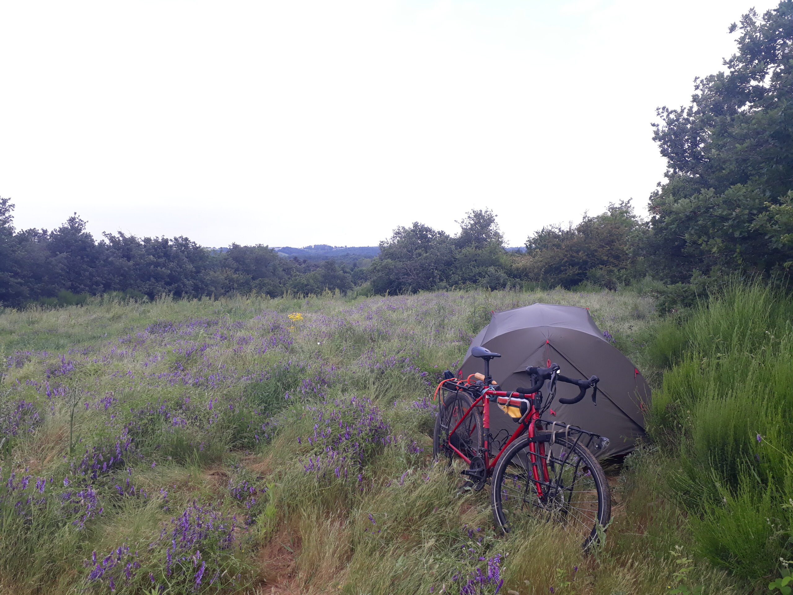 Bivouac